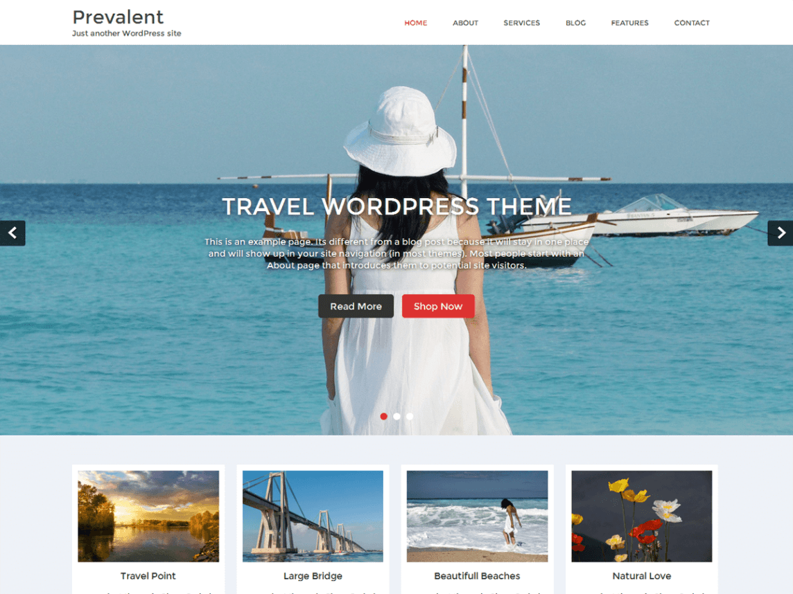 Free WordPress Travel Themes 