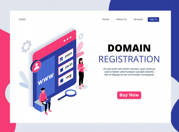 Domain registrar