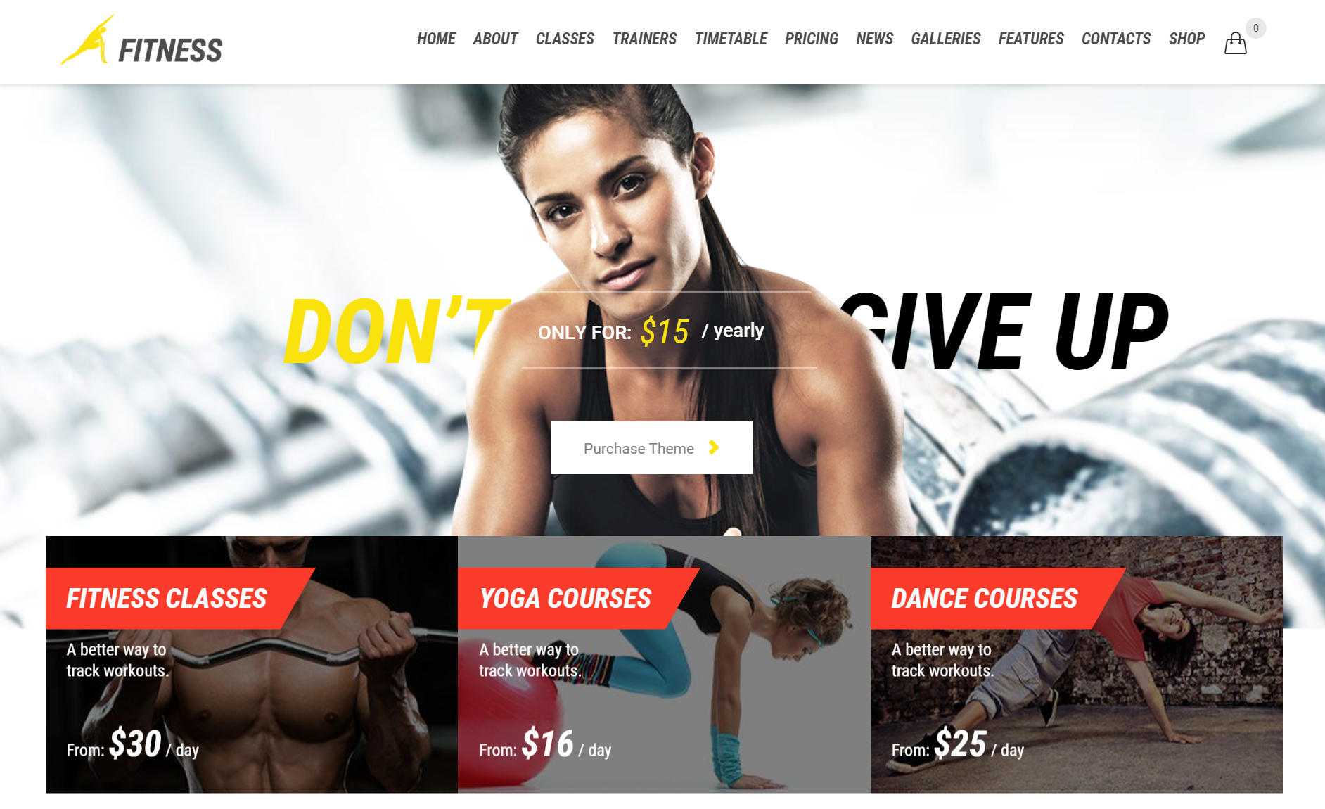 Premium WordPress Fitness Themes