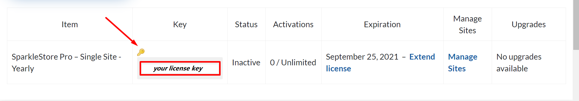 Theme activation license key