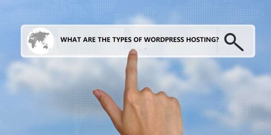 types of hosting