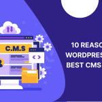10 reasons why wordpress is the best cms for seo
